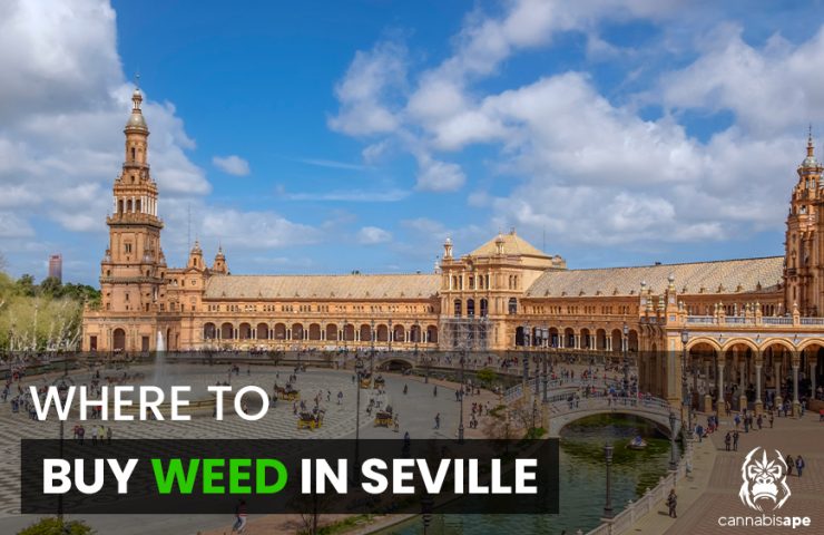 where to buy weed in seville