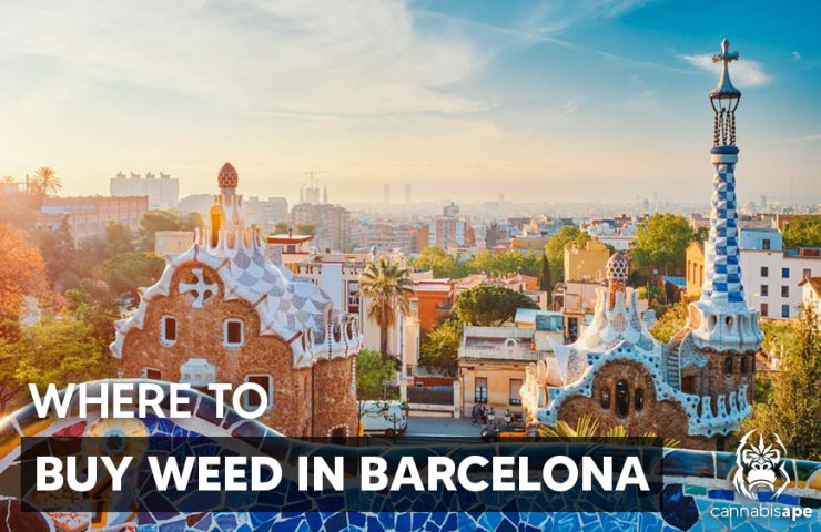 WHERE TO BUY WEED IN BARCELONA