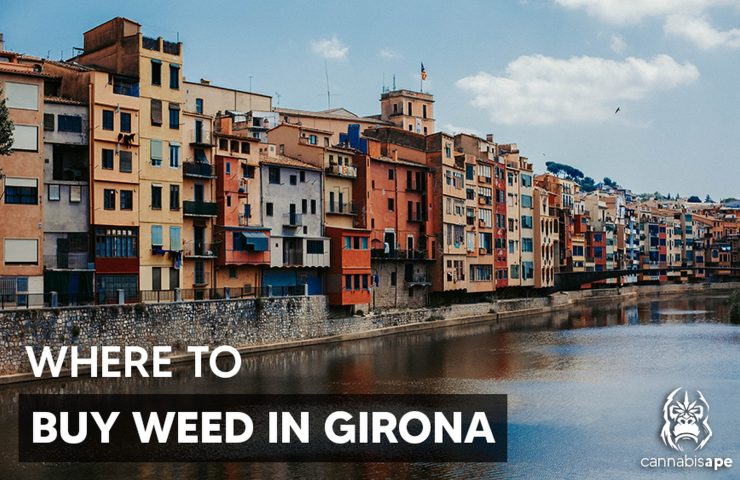 where-to-buy-weed-in-girona