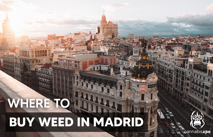 where to buy weed in madrid